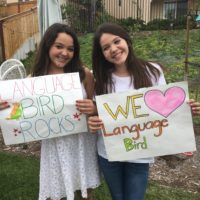 learn languages online
