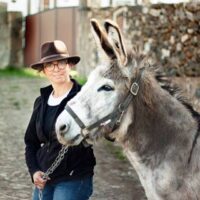 online language courses