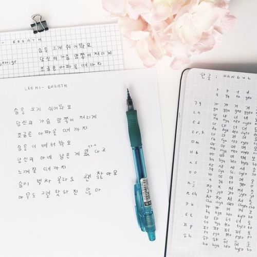 learning korean