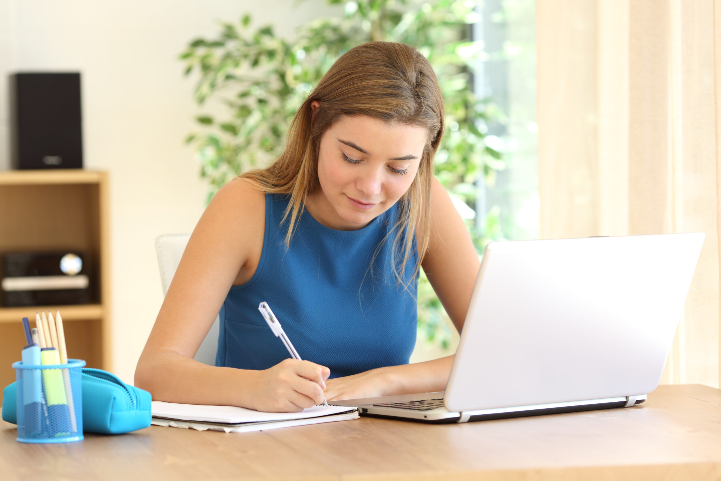 online german classes