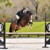 girl riding horse